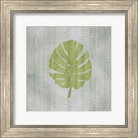 Palm Leaf Fine Art Print
