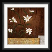 Orchid Melody II Framed Print