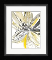 A Sunny Bloom Fine Art Print