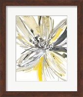 A Sunny Bloom Fine Art Print