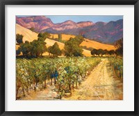 Wine Country Fine Art Print