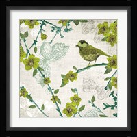 Birds and Butterflies II Framed Print