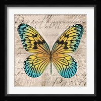 Butterflies I Framed Print
