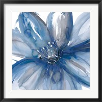 Blue Beauty I Fine Art Print