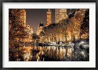 Central Park Glow Framed Print