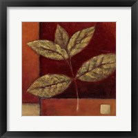 Crimson Leaf Study II Framed Print