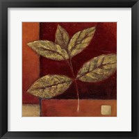 Crimson Leaf Study II Framed Print