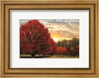 Crimson Trees Fine Art Print