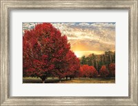 Crimson Trees Fine Art Print