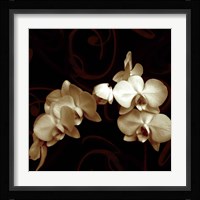 Elegance Fine Art Print