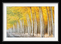 Gold Alley Fine Art Print