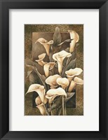 Golden Calla Lilies Fine Art Print