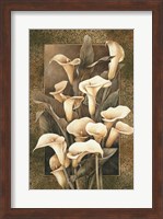 Golden Calla Lilies Fine Art Print