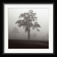 Fog Tree Study I Fine Art Print
