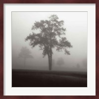 Fog Tree Study I Fine Art Print