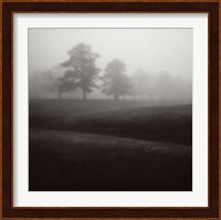 Fog Tree Study II Fine Art Print