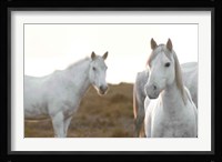 Haven't Met You Yet Fine Art Print