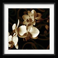 Grace Fine Art Print