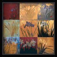 Iris Nine Patch II Fine Art Print