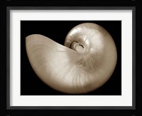 Ocean Keepsake I Framed Print