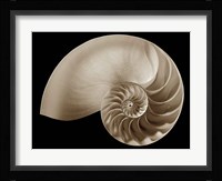 Ocean Keepsake II Framed Print