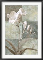 Memento I Fine Art Print