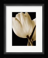 Radiance I Framed Print