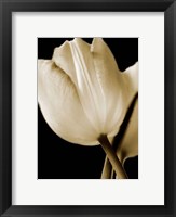 Radiance I Framed Print