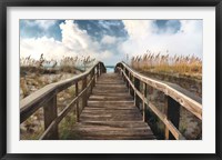 Path To Paradise Fine Art Print