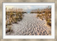Path To The Beach Fine Art Print