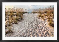 Path To The Beach Fine Art Print