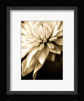 Radiance IV Framed Print