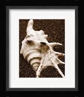 Sea Gallery I Fine Art Print