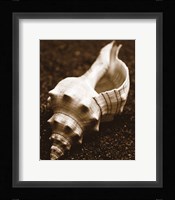 Sea Gallery III Fine Art Print