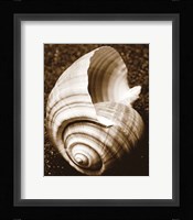 Sea Gallery IV Fine Art Print