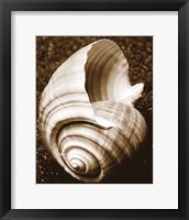 Sea Gallery IV Fine Art Print