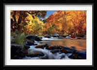 River Of Gold Fine Art Print