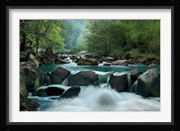 Secret Passage Fine Art Print