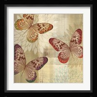 Tropical Butterflies I Framed Print