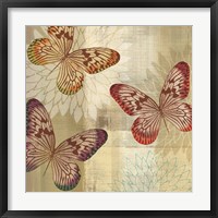Tropical Butterflies I Framed Print