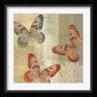 Tropical Butterflies II Framed Print
