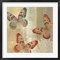 Tropical Butterflies II Framed Print