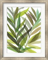 Tropical Greens I Fine Art Print