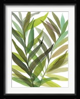 Tropical Greens I Fine Art Print