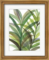 Tropical Greens II Fine Art Print