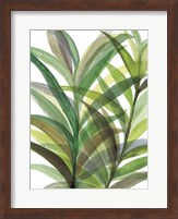 Tropical Greens II Fine Art Print