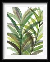 Tropical Greens II Framed Print