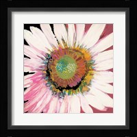 Sunshine Flower I Framed Print