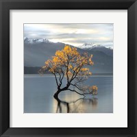 Undisturbed (detail) Fine Art Print