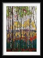 Voile De Montogne Fine Art Print